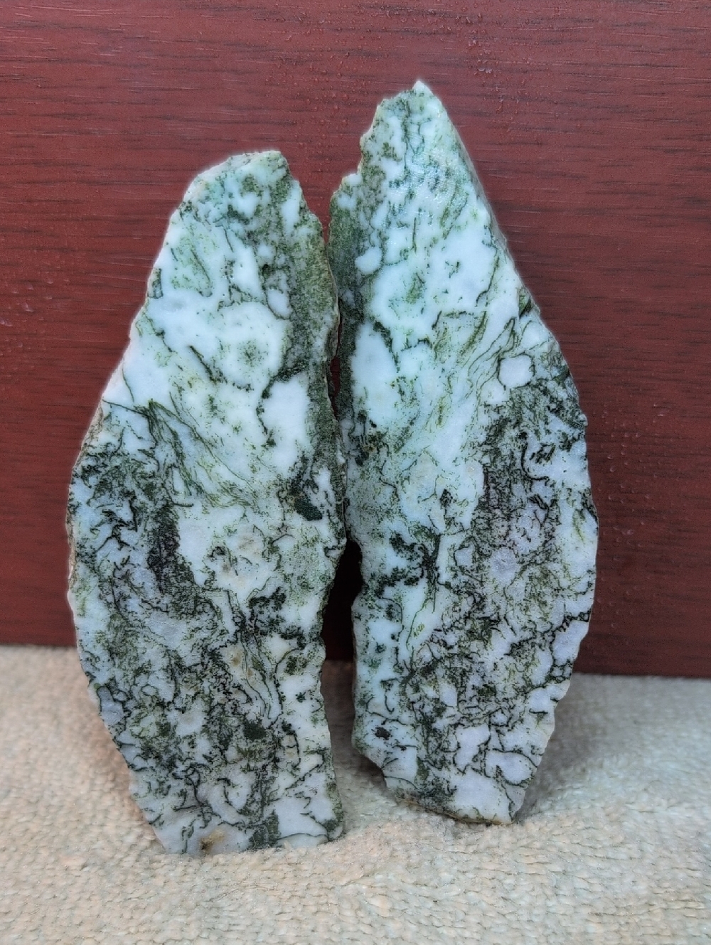 Tree Agate
